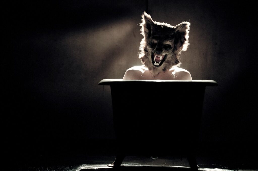 Festival Setkání-Stretnutie nabídne 20 inscenací