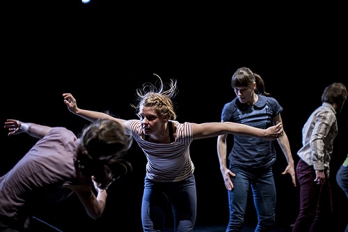 Taneční inscenací roku 2013 je Korekce skupiny VerTeDance