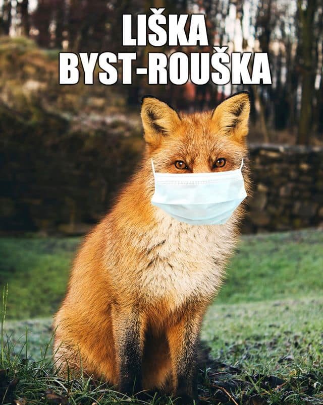 Slovácké divadlo odvysílá Lišku Bystroušku online