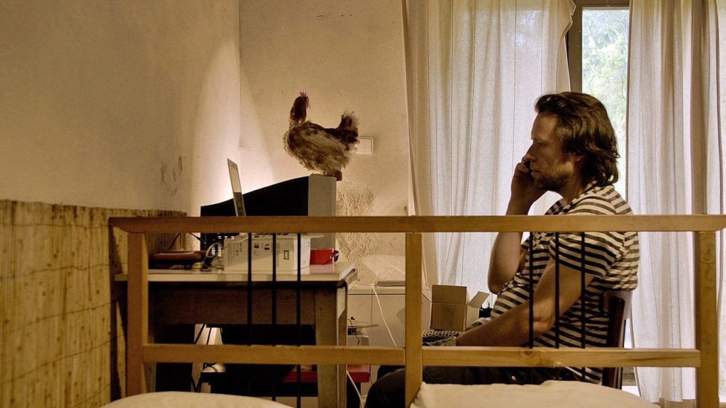 Startuje PALM OFF FEST 2021. Doprovodný program nabídne filmové projekce i výstavu