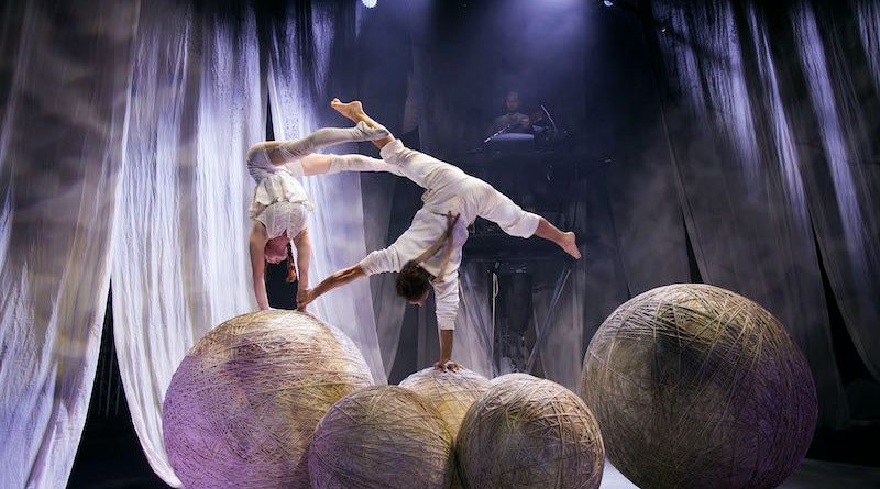 Cirkus Cirkör se opět zaplete s Letní Letnou. Švédští akrobaté pro festival v roce 2022 upraví hit Knitting Peace