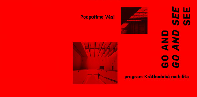 Výsledky výběrového řízení IDU na podporu zahraničních kontaktů v oblasti profesionálního umění (Go and See) pro rok 2022 (1. kolo)