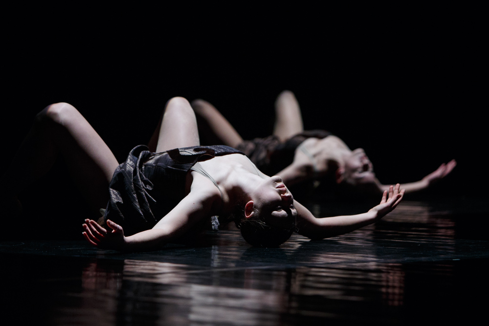 Začíná šestatřicátý ročník festivalu Mezinárodní týdny tance