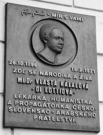 Divadelní hra připomíná odvážnou lékařku z první republiky