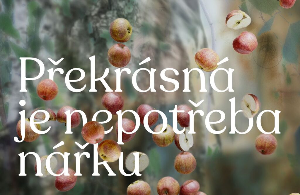 Studio Marta připomene novou inscenací výročí sta let od narození Jana Skácela