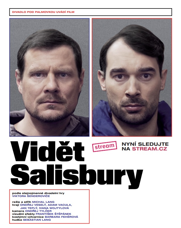 Film Vidět Salisbury – podivuhodná cesta dvou ruských agentů nyní ke zhlédnutí online na stream.cz
