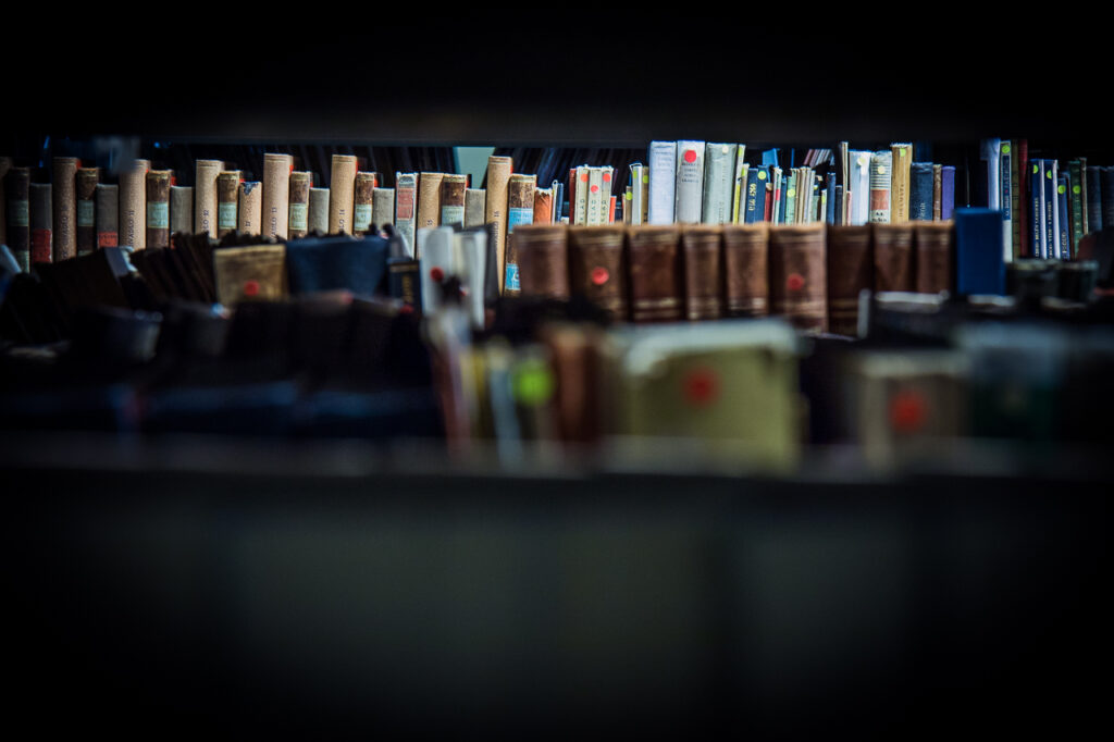 Přírůstky zahraniční literatury v Knihovně DÚ za rok 2022