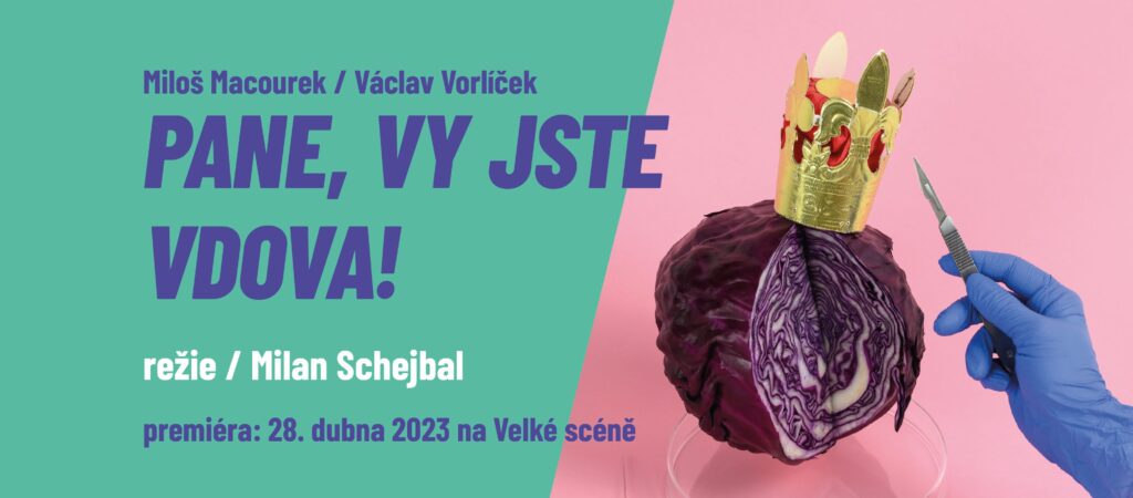 Městské divadlo v Mostě uvede adaptaci filmové komedie Pane, vy jste vdova!