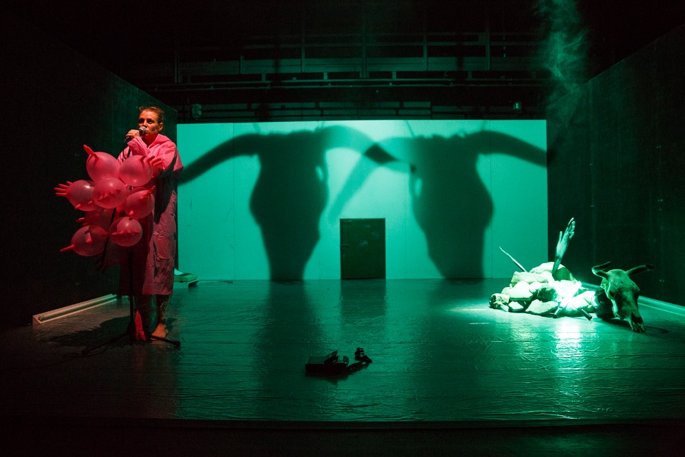 30. ročník festivalu …příští vlna/next wave… se přesune do Brna