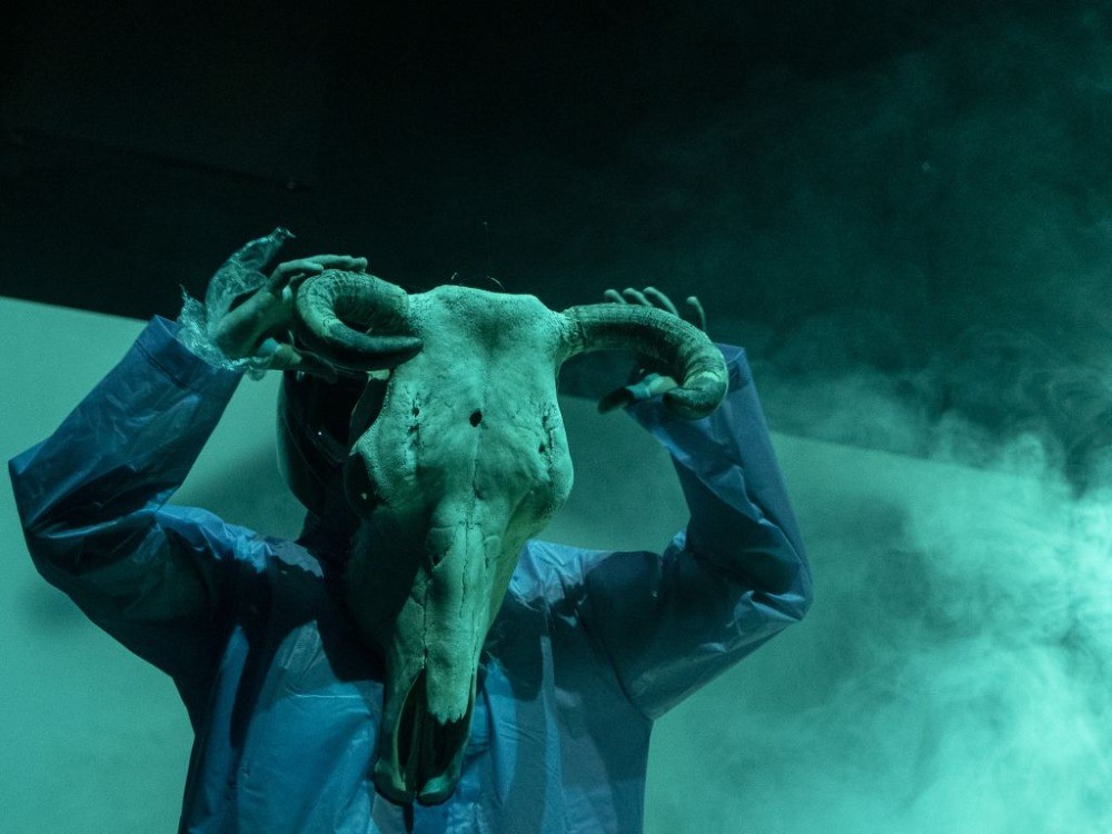 Třicátý ročník festivalu …příští vlna/next wave… se bude konat na přelomu září a října v Praze a v Brně