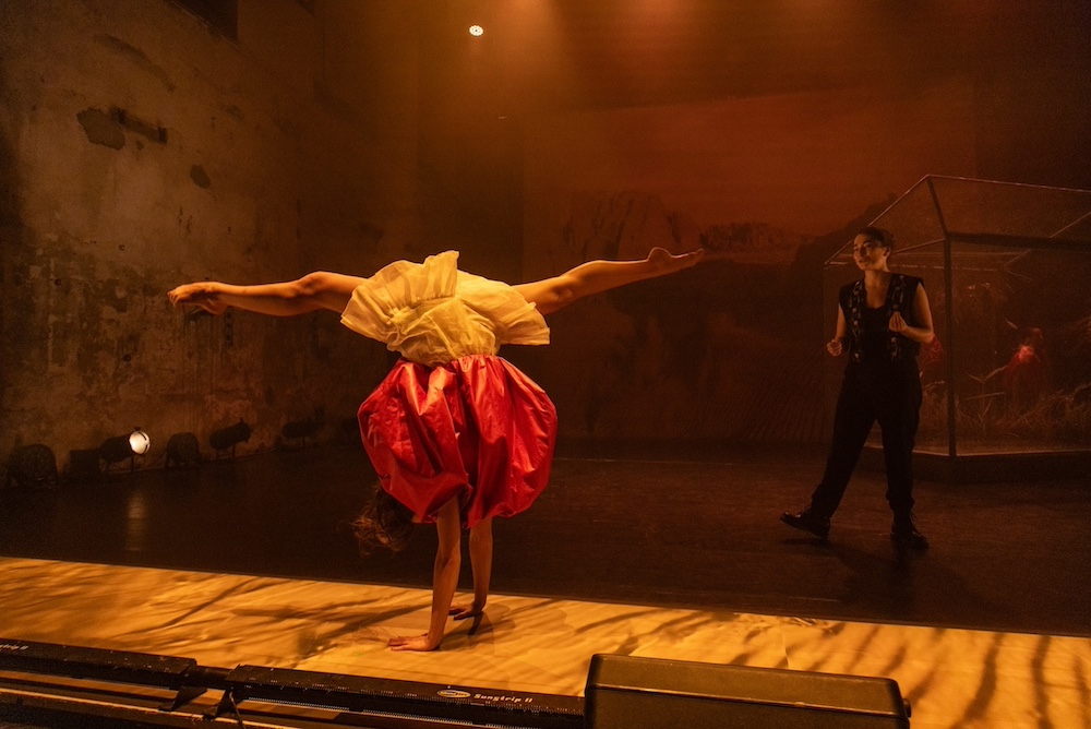 Hvězdy českého novocirkusového nebe zazáří na Letní Letné