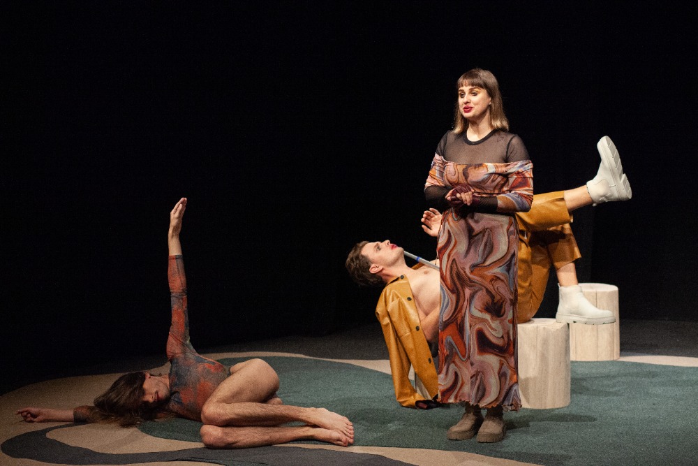 O přírodě, počátcích a koncích aneb  31. ročník festivalu …příští vlna/next wave…