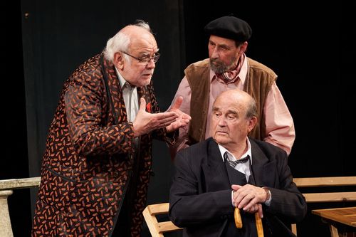 Přehlídka Činoherní klub uvádí: Gérald Sibleyras: Vítr ve větvích topolů