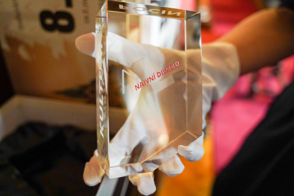 Hlavní ceny za Kulturní počin 2024 v Liberci si rozdělilo Naivní divadlo Liberec spolu s projektem Návrat domů