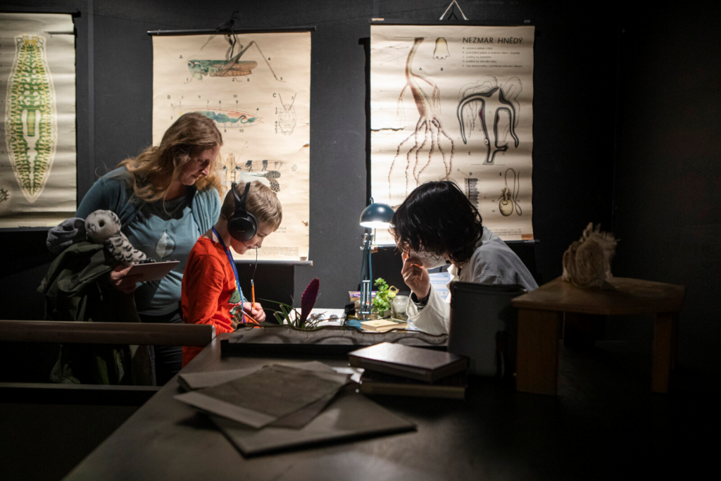 Divadlo Drak získalo mezinárodní certifikaci Domov vzdělávání pro 21. století