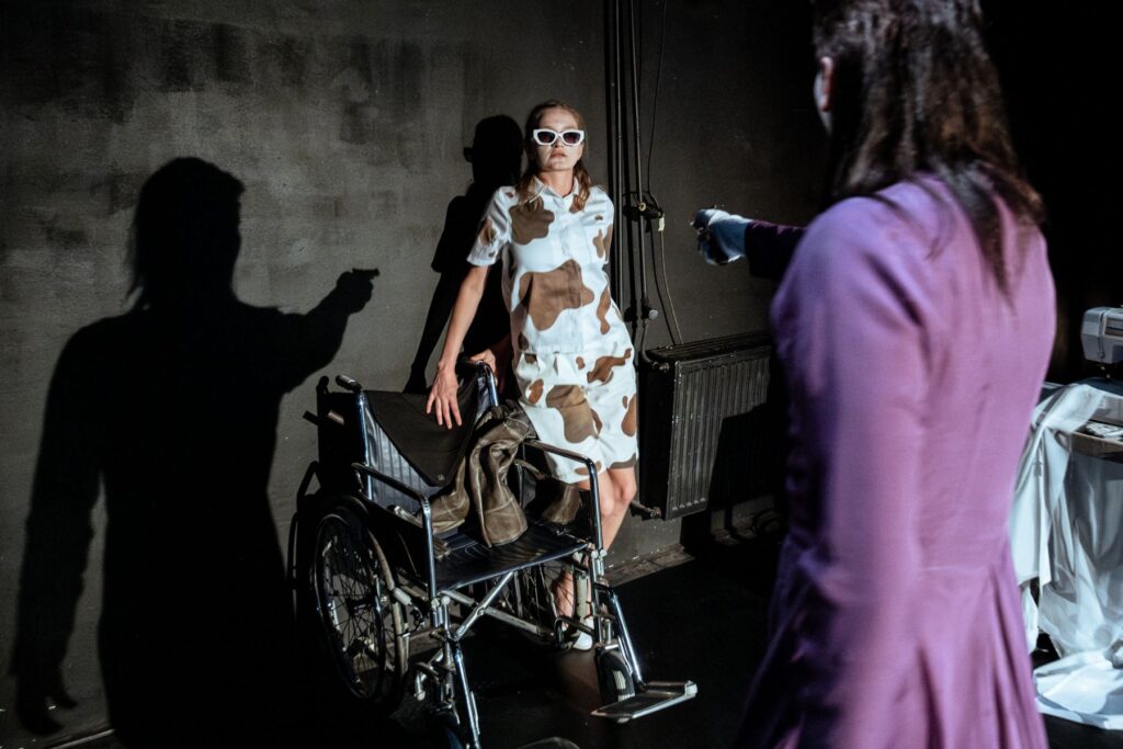 Východočeské divadlo Pardubice uvede premiéru autorské inscenace Elišky Říhové Volání rodu