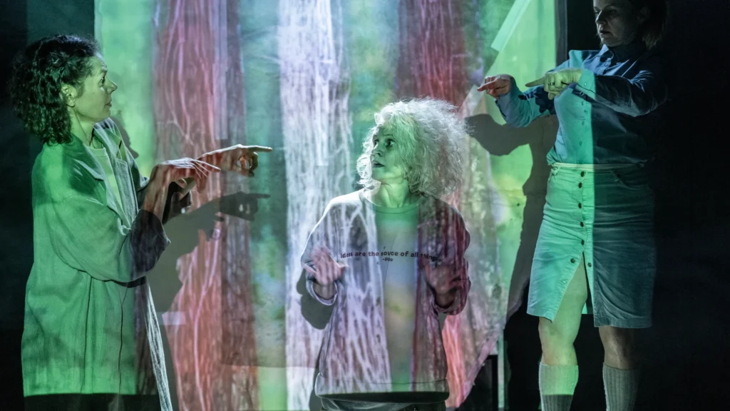 Divadelní Flora zve do Centralu na podzimní profil A studia Rubín