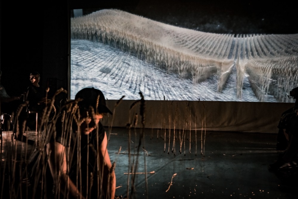 Souboje, střety i dialogy aneb …příští vlna/next wave… míří do Brna