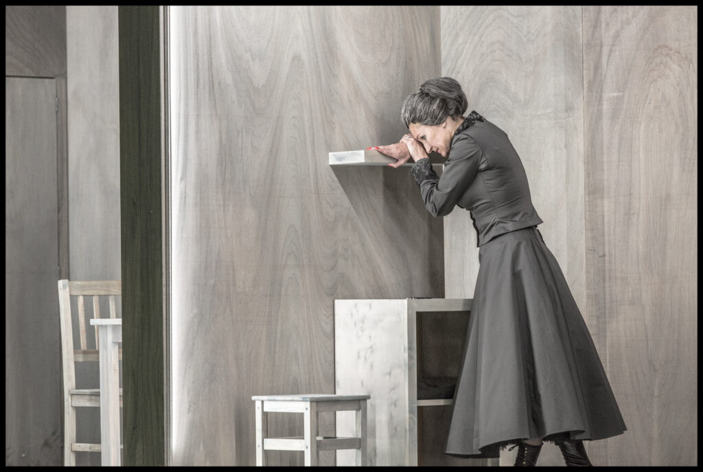 Národní divadlo Brno zve na e-výstavu V ROLI KOSTELNIČKY