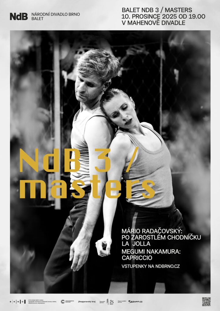 V Mahenově divadle vystoupí taneční uskupení NdB 3