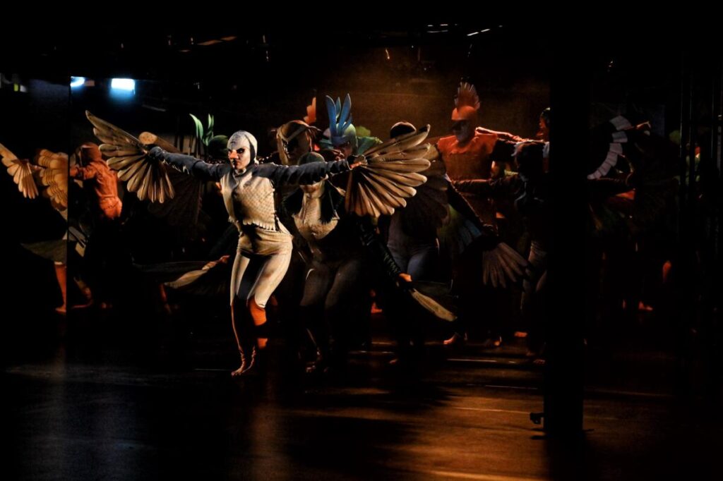 Festival ARENA Divadla bratří Formanů se stěhuje na ostrov Štvanice